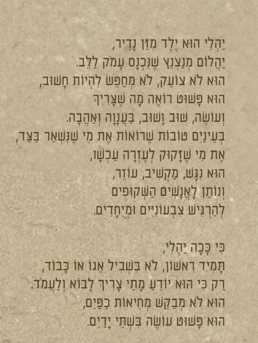 יהלי שרור